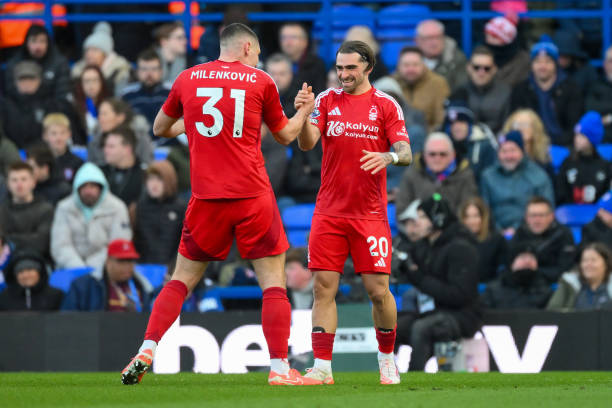 状态极佳的 状态极佳的