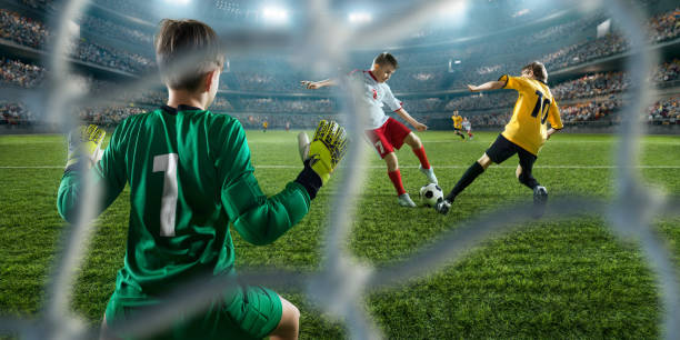 它们往往不 它们往往不