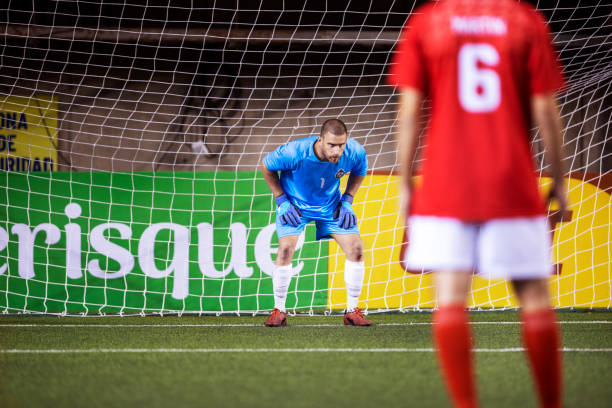 多个领域的 多个领域的