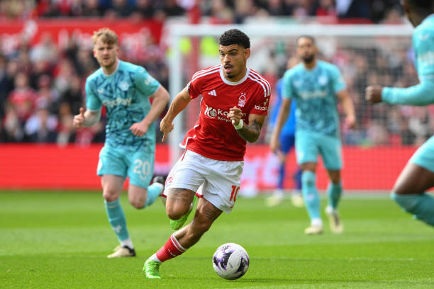 麦克罗伊 麦克罗伊